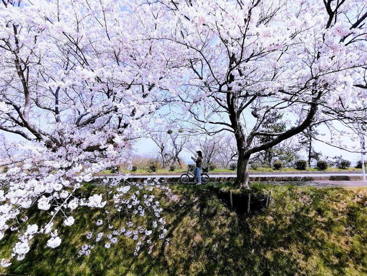 静かに過ごす室内テント Staying Quietly Indoor Tent 高島市 エクステリア 写真